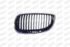 PRASCO BM0252004 Radiator Grille